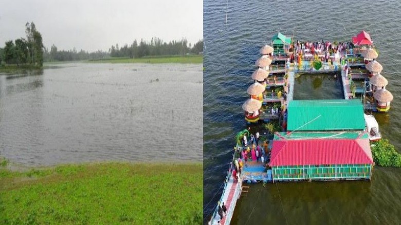 দৃষ্টিনন্দন চাকিরপশার বিল, পর্যটন বিকাশে ব্যাপক সম...