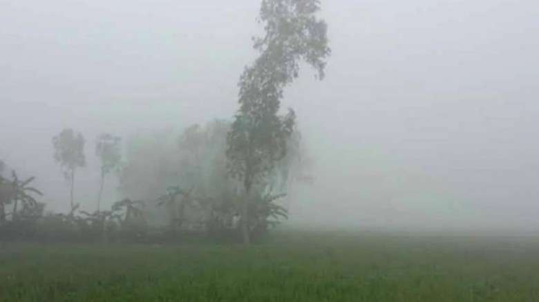 পঞ্চগড়ে বাড়ছে শীতের তীব্রতা, ১২ ডিগ্রিতে তাপমাত্র...