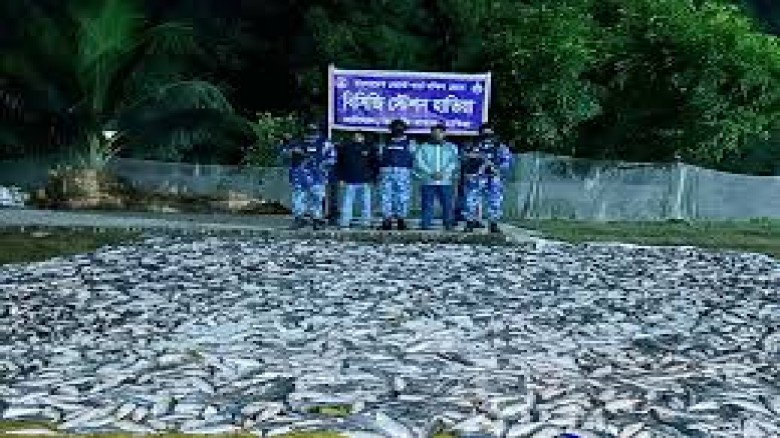 লঞ্চ থেকে জব্দ আড়াই হাজার কেজি জাটকা গেলো এতিমখানায়