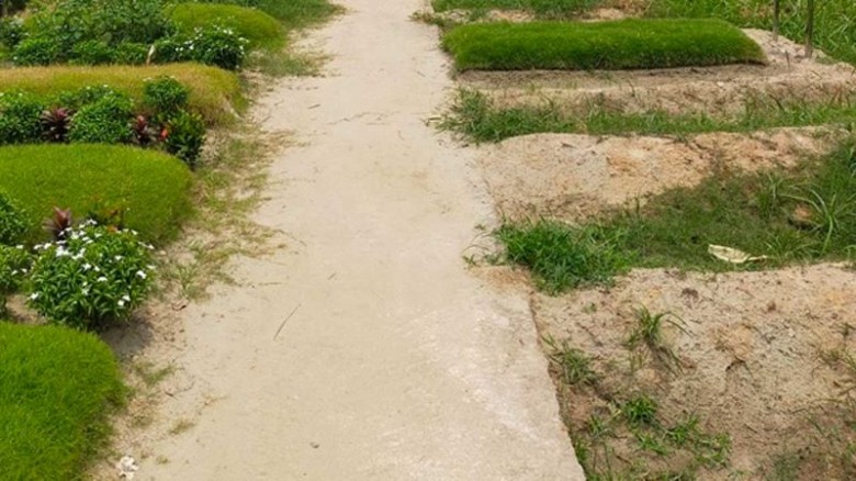 গণঅভ্যুত্থানে শহীদ ১১৪ জনের মরদেহ তোলা হবে আজ...